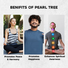 Load image into Gallery viewer, Certified Natural Pearl Tree for Inner Peace &amp; Emotional Healing Perfect Showpiece for House Warming, Diwali, Birthday Gift
