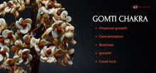 Load image into Gallery viewer, Gomati Chakra with Rudraksha Tree - Gomati Chakra Original, Gomti Chakra - Home Decor Showpiece, Good Luck, Positive Energy -100 Beads
